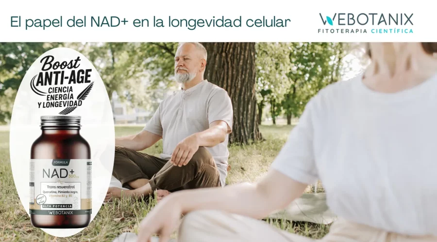 Webotanix - Fitoterapia científica -El papel del NAD+ en la longevidad celular