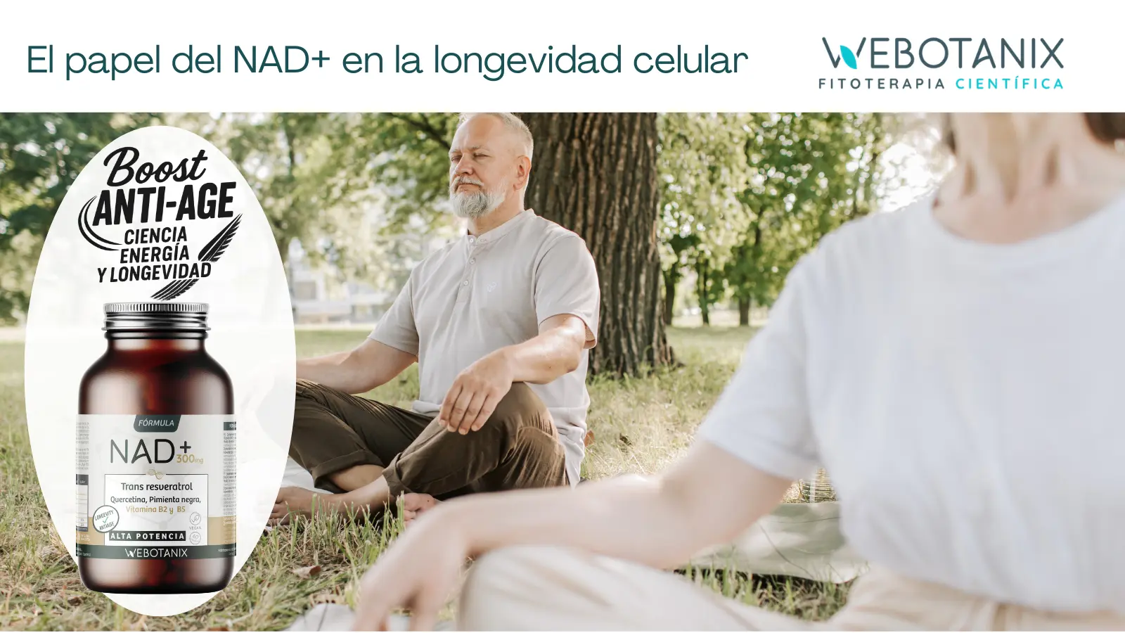 Webotanix - Fitoterapia científica -El papel del NAD+ en la longevidad celular