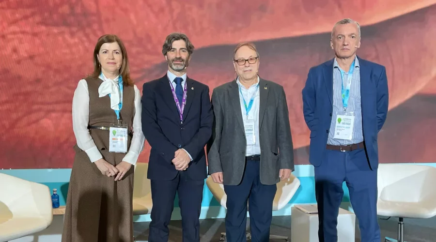 Alicia Herrero, Mario García Gil, Vicente Colomer y Alberto Carazo, durante la mesa coloquio.